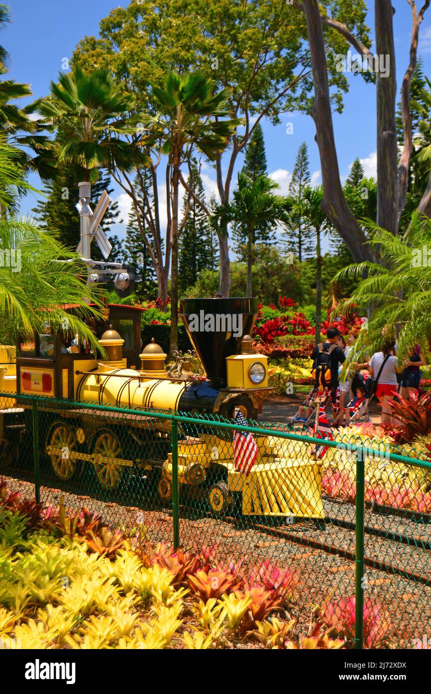 Ein Classic Train rollt durch eine Ananasplantage auf Hawaii Stockfoto