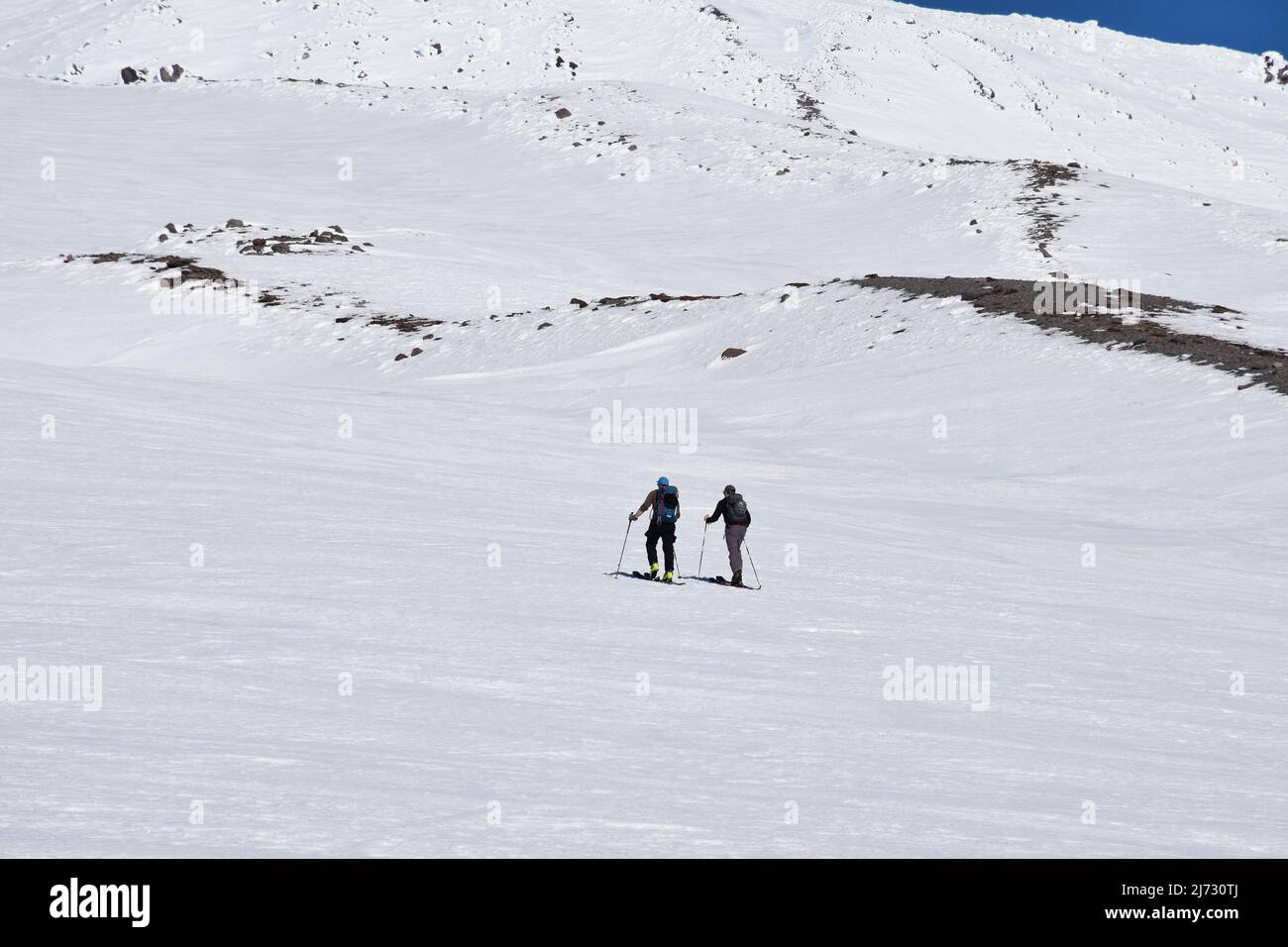 Im Januar 2022 erklimmen zwei Skifahrer den unteren Abschnitt der verschneiten Südseite zum Gipfel des Mt Hood, dem höchsten Berg von Oregon. Stockfoto