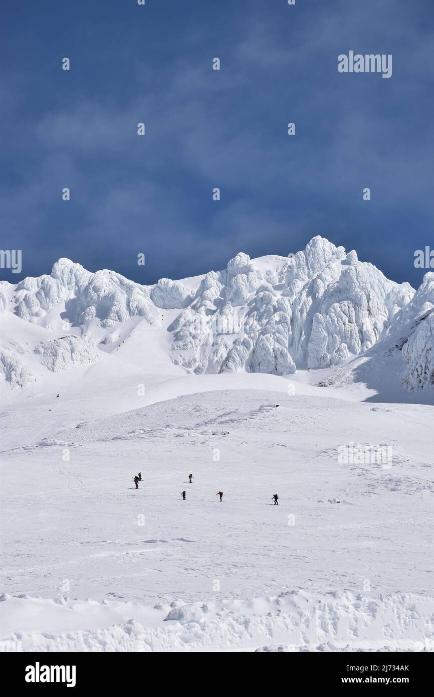 Kletterer unterhalb des steilen, eisigen Gipfelgebiets von Mt Hood versuchen, den Gipfel des höchsten Berges von Oregon über den Hogsback und Pearly Gates zu erreichen Stockfoto