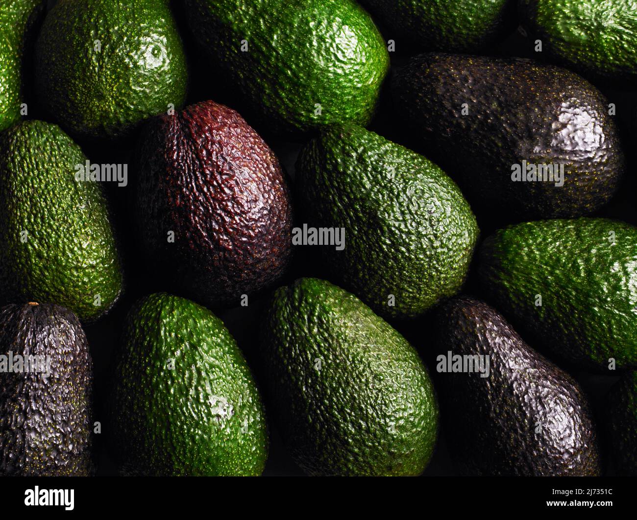 Nahaufnahme von grünen und violetten Avocados Stockfoto