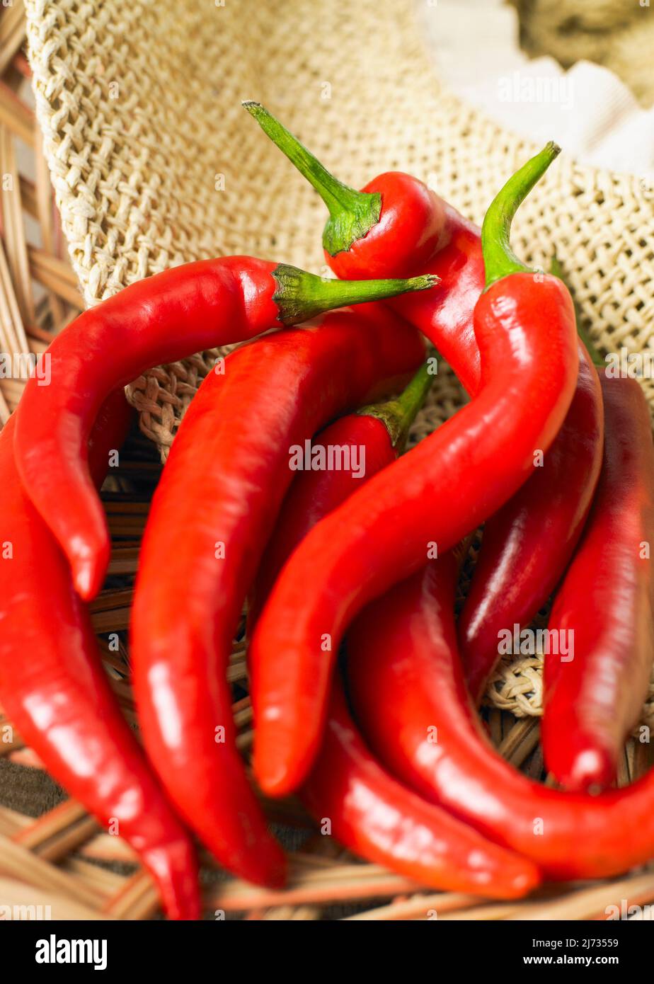 Nahaufnahme langer roter Chilischoten Stockfoto