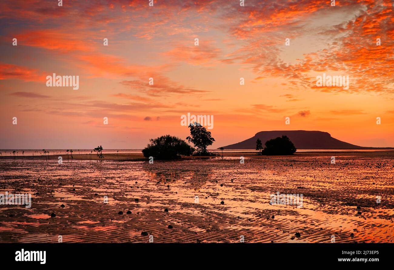 Der fantastische orangefarbene Sonnenaufgang am Elim Beach liegt etwa eine Autostunde nördlich von Cooktown im Far North Tropical Queensland Australia Stockfoto