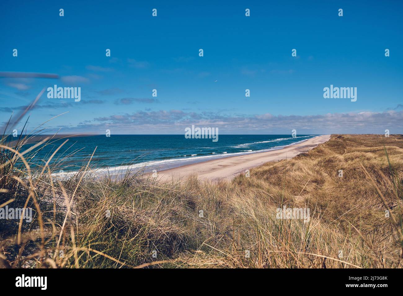 Weite Sicht auf die dänische Küste im Sommer. Hochwertige Fotos Stockfoto