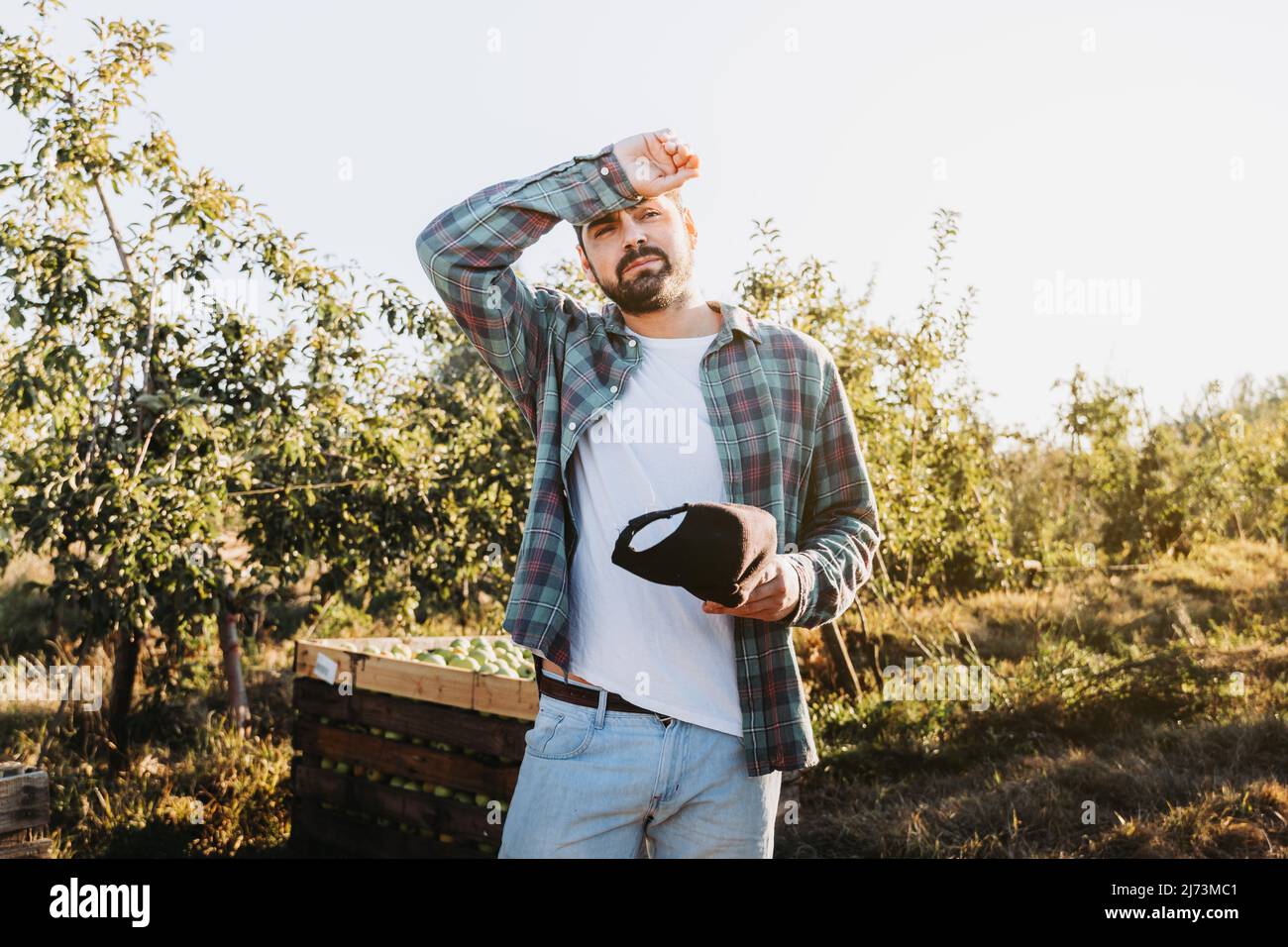 Junger harter Arbeiter, Bauer, neben einem Apfelbehälter, müde nach der Arbeit und mit Blick auf seine Plantagen. Stockfoto