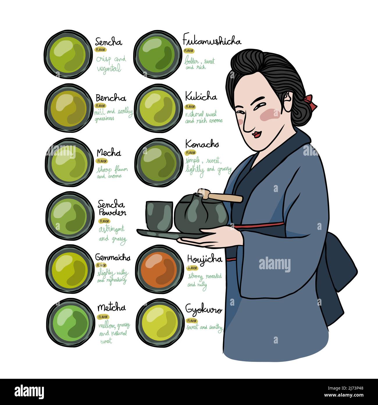 Arten von japanischen Tea-Info-Grafikvektorgrafiken Stock Vektor