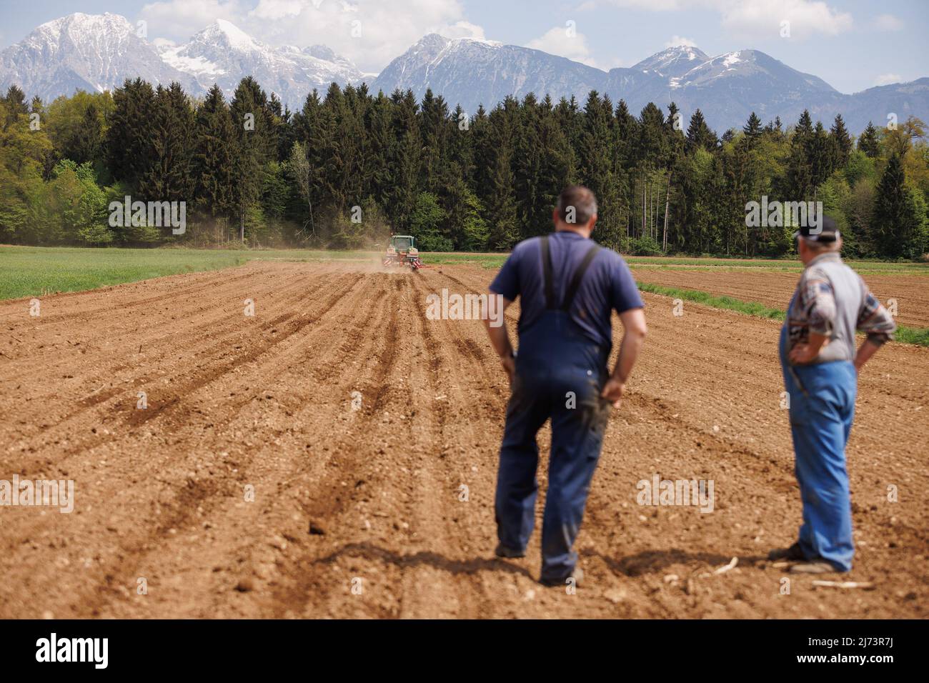 Die Bauern stehen auf einem Feld, während ein Traktor in Hrastje bei Kranj Zuckermais pflanzt. Mit dem Beginn des Frühlings beginnen die Bauern, Mais zu Pflanzen, während die globale Lebensmittelkrise um die Ecke steht. Den Landwirten zufolge könnte Slowenien problemlos autark sein, aber die Krise nach dem Krieg in der Ukraine hat die Selbstversorgungsprobleme des Landes nach Jahren unzureichender Agrarpolitik noch weiter betont. Stockfoto