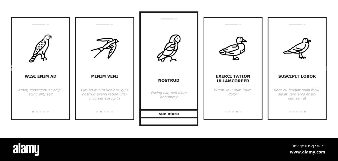 Vogel Fliegendes Tier Mit Feder Onboarding Icons Set Vector Stock Vektor