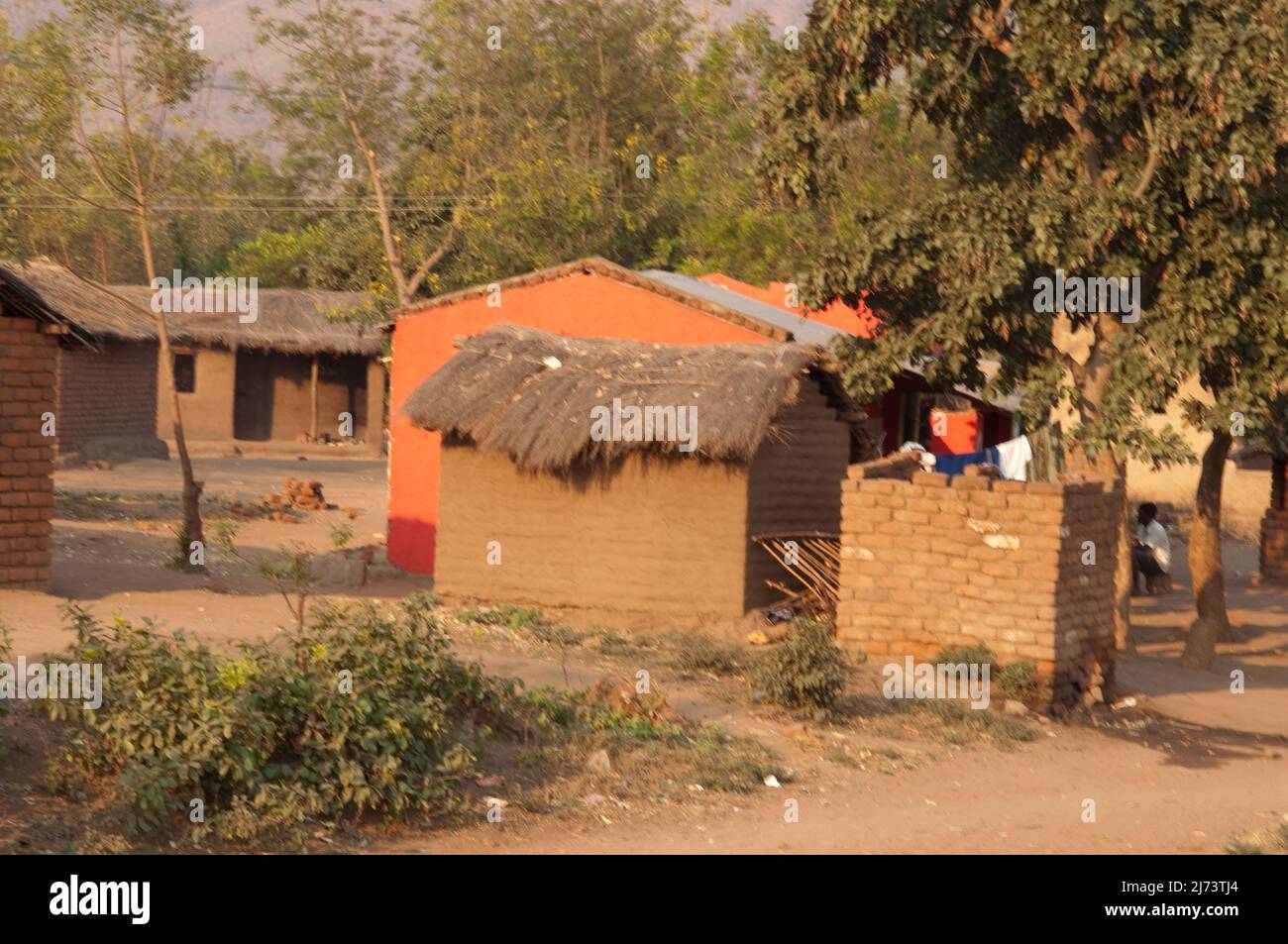 Schlammhütten mit Strohdächern, Bäumen, kleines afrikanisches Dorf, Chikwawa District, Malawi Stockfoto