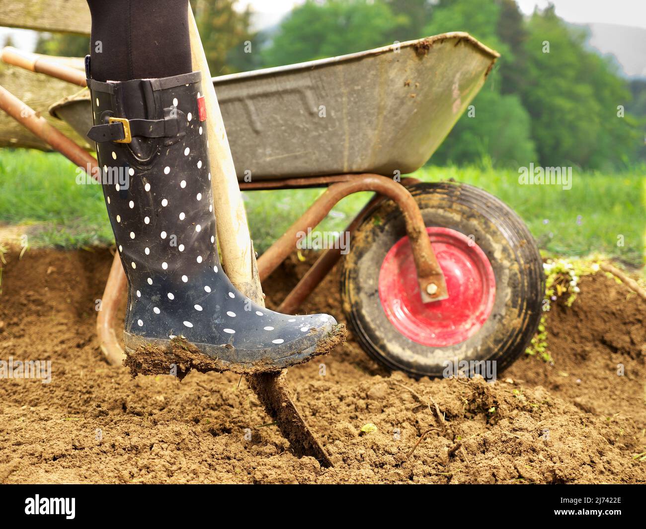 Das Foto zeigt eine Nahaufnahme eines Gummistiefelgrabens im Garten - wie man ein neues Gartenbett erstellt Stockfoto