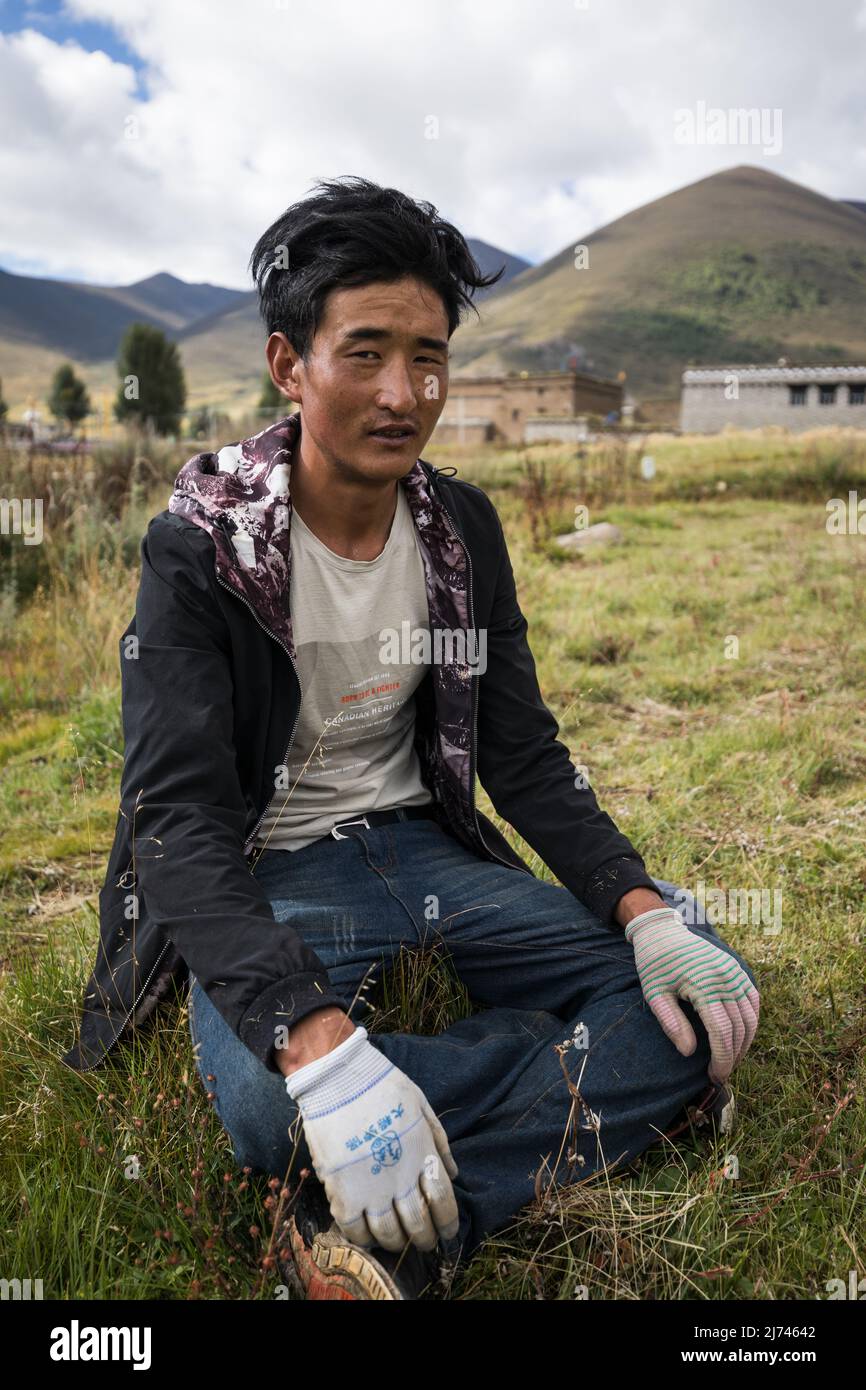 Porträt eines tibetischen Dorfbewohners während der Ernte in Sichuan, Daocheng Stockfoto