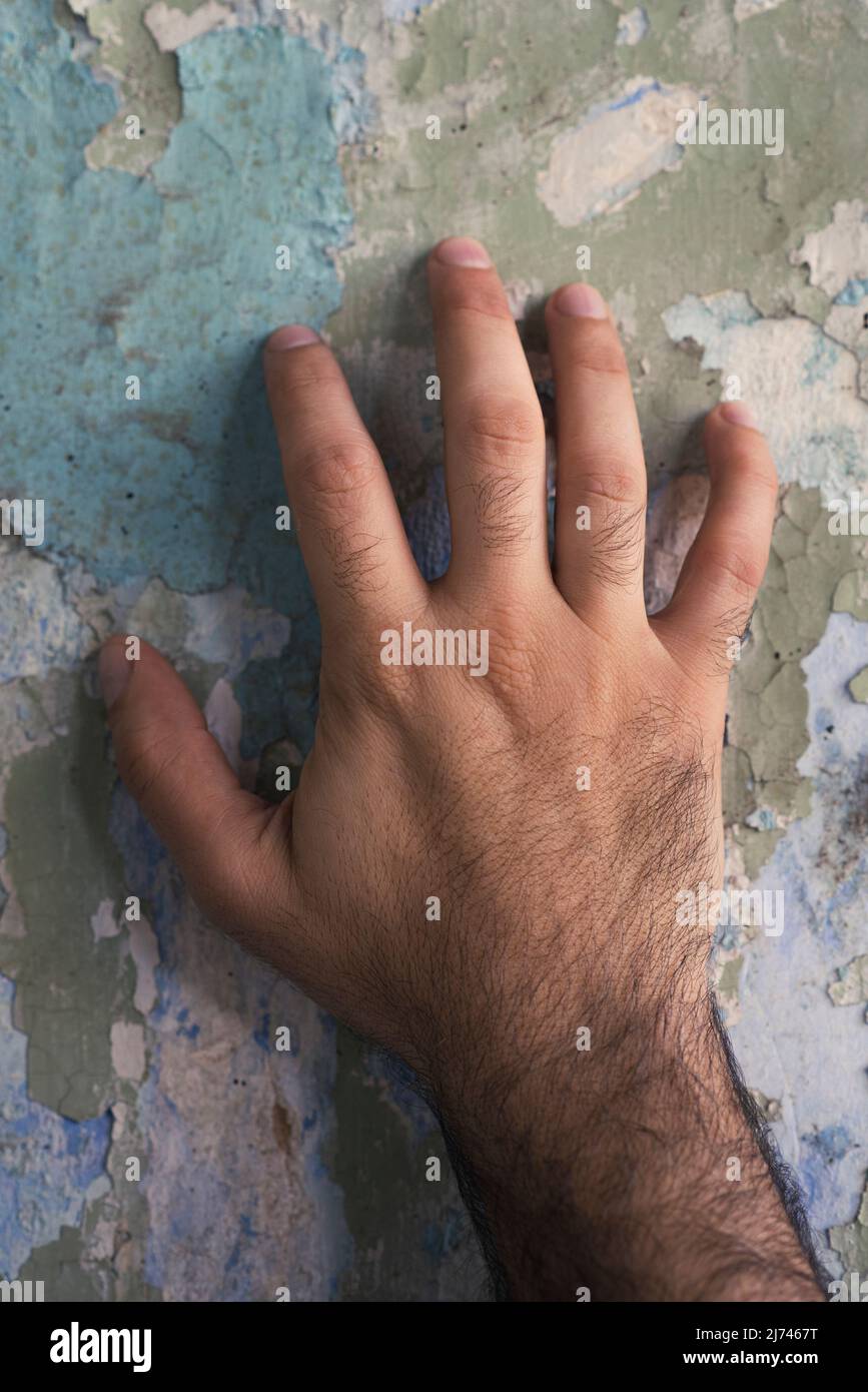 Nahaufnahme der Hand eines Mannes, der die geschälte Wandfarbe berührt Stockfoto