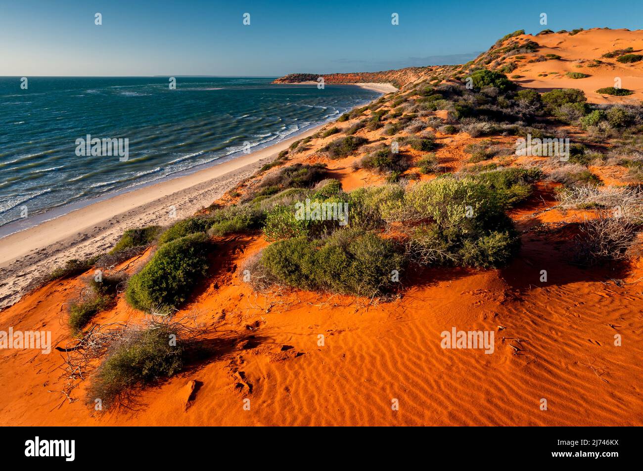 Einzigartige Wüstenlandschaft in der Herald Bight, Teil der zum Weltnaturerbe zählenden Shark Bay. Stockfoto