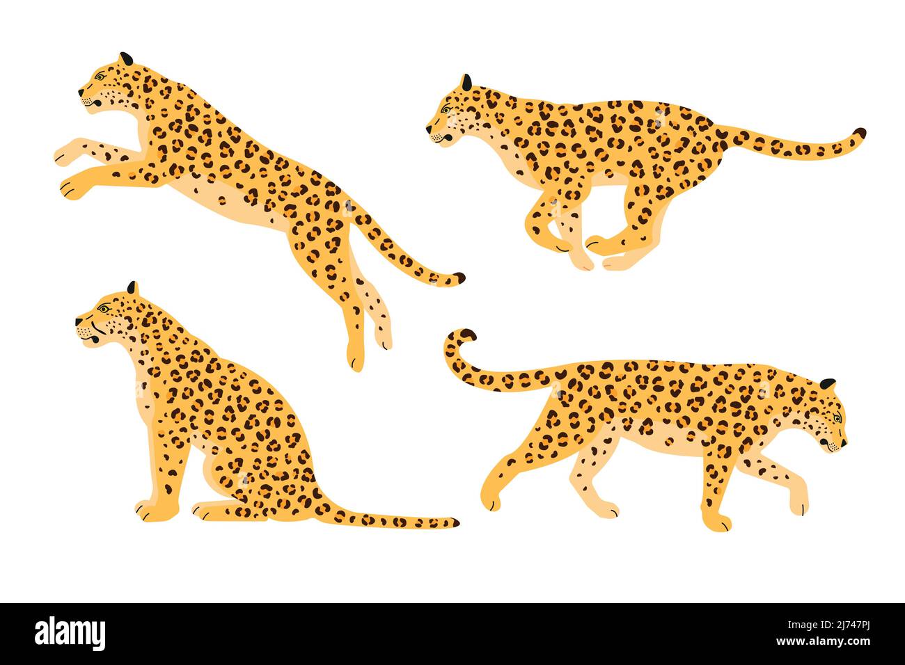 Vektor-Set von flachen Leoparden isoliert auf weißem Hintergrund Stock Vektor