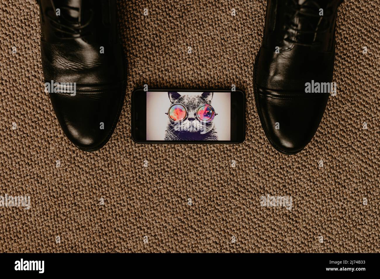 Schwarze Stiefel sitzen auf einem braunen strukturierten Boden. Fly kriecht in der Nähe von Schuhen. Männer klassische Mode formale Schuhe. Klassischer Stil Eheringe liegen im Bild Stockfoto