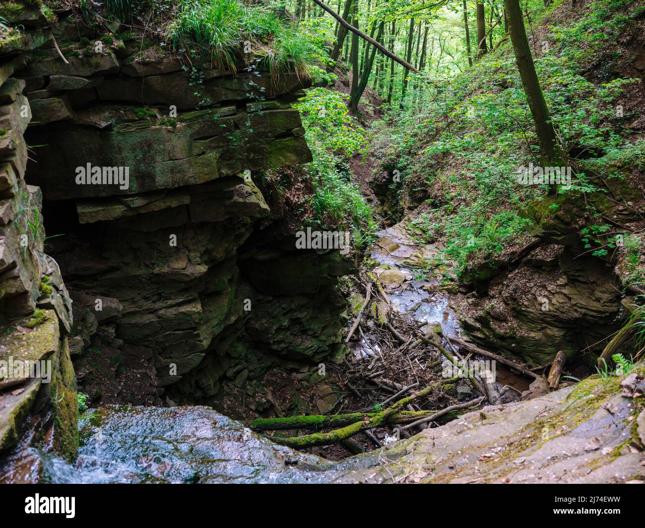 Margaretenschlucht im Neckartal bei Neckargerach Stockfoto