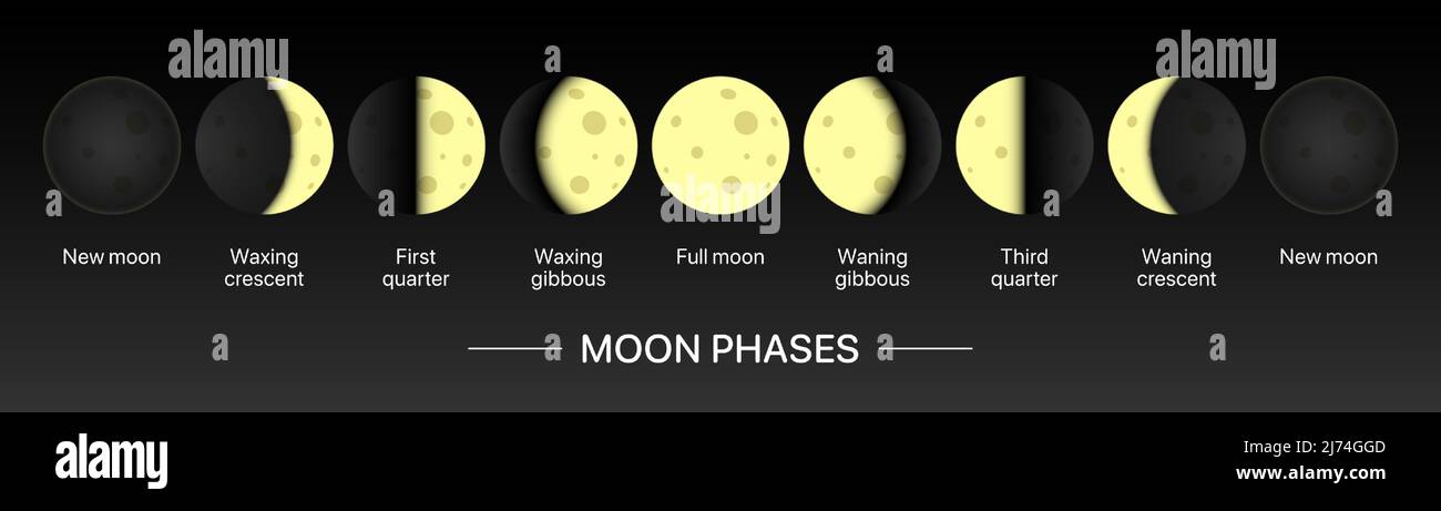 Moonlight Bewegungs Kalender horizontales Banner. Vektorgrafik Mondphasen. Stock Vektor