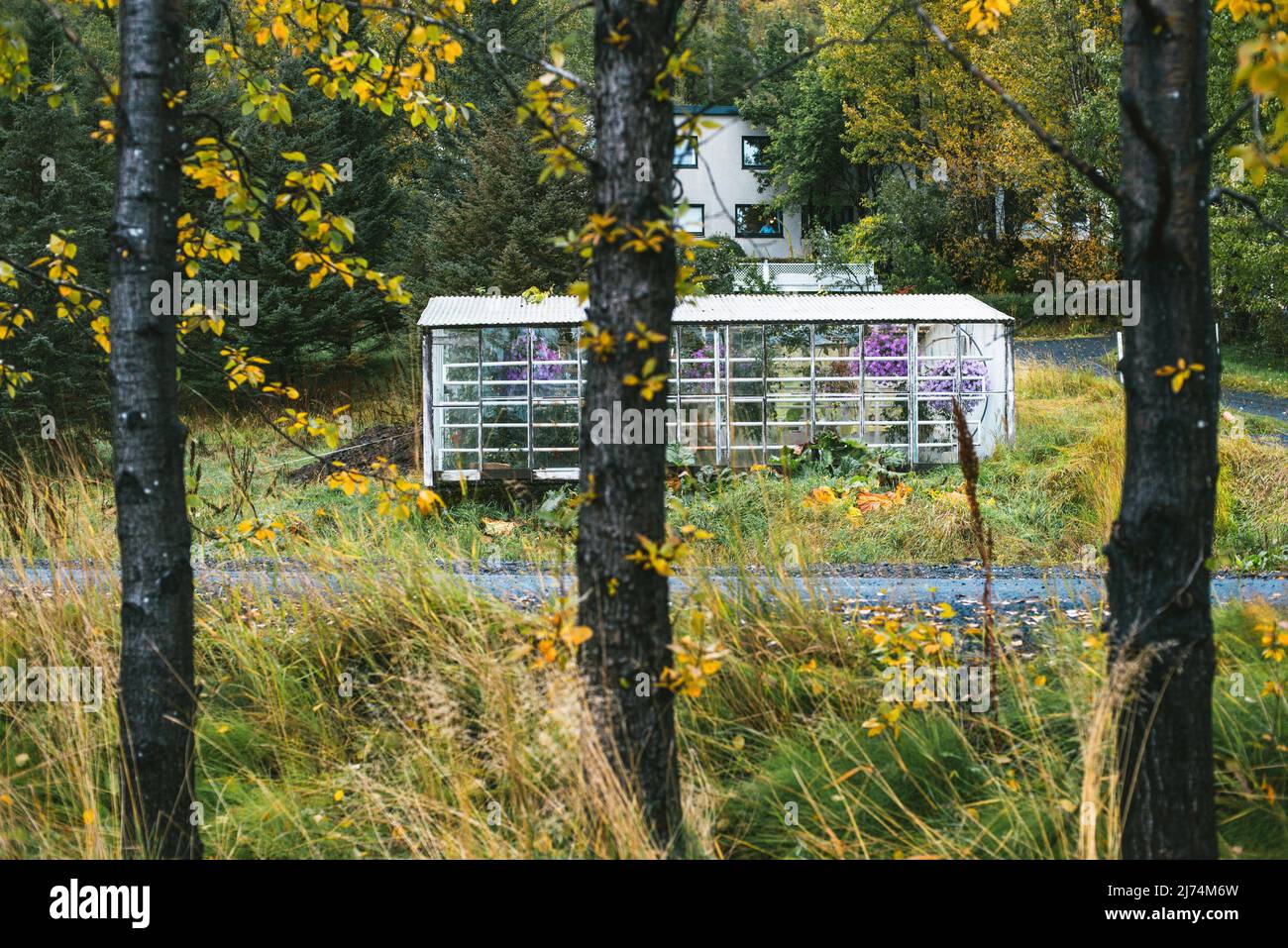 20. September 2017, Fludir, Island: Kleines privates Gewächshaus für den Anbau von Gartenpflanzen. 85 % der in Island erzeugten Energie stammt aus nachhaltigem Ursprung (Wasserkraft und Geothermie), 66 % davon aus der Geothermie. Seine Bewohner nutzen diese Energie seit Hunderten von Jahren, um Thermalbäder zu nutzen, aber heute gibt es noch viele weitere Anwendungen, zum Beispiel die Wärmeversorgung von 9 von 10 Häusern und die Energieversorgung von Industrien mit großem Bedarf. Dank dieser unerschöpflichen Wärmequelle und ihrem niedrigen Preis ist es auch möglich, das ganze Jahr über Obst und Gemüse in Gewächshäusern anzubauen. Stockfoto