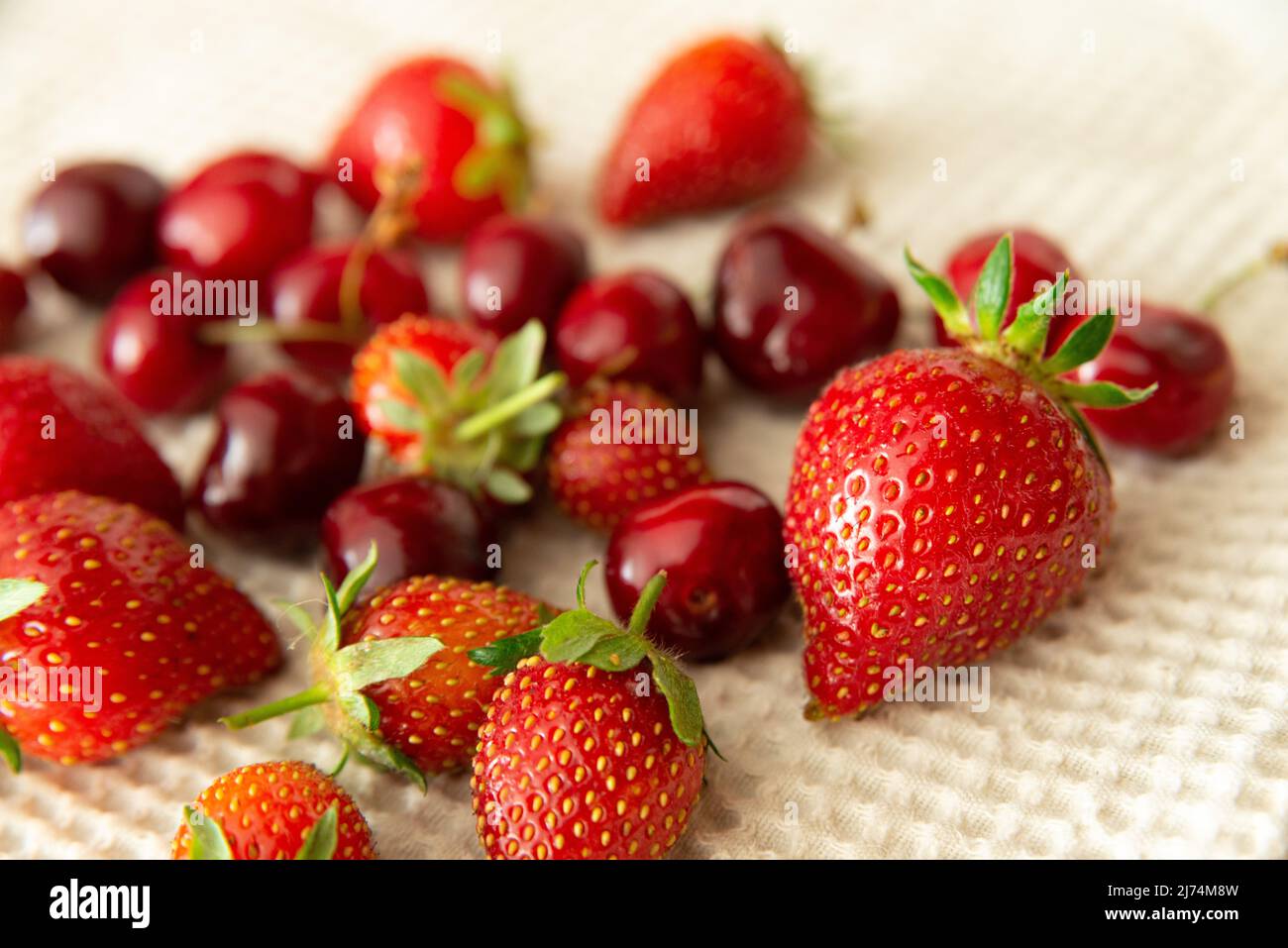 Frisch gepflückte und gewaschene Erdbeeren und Kirschen trocknen auf einem Geschirrtuch Stockfoto