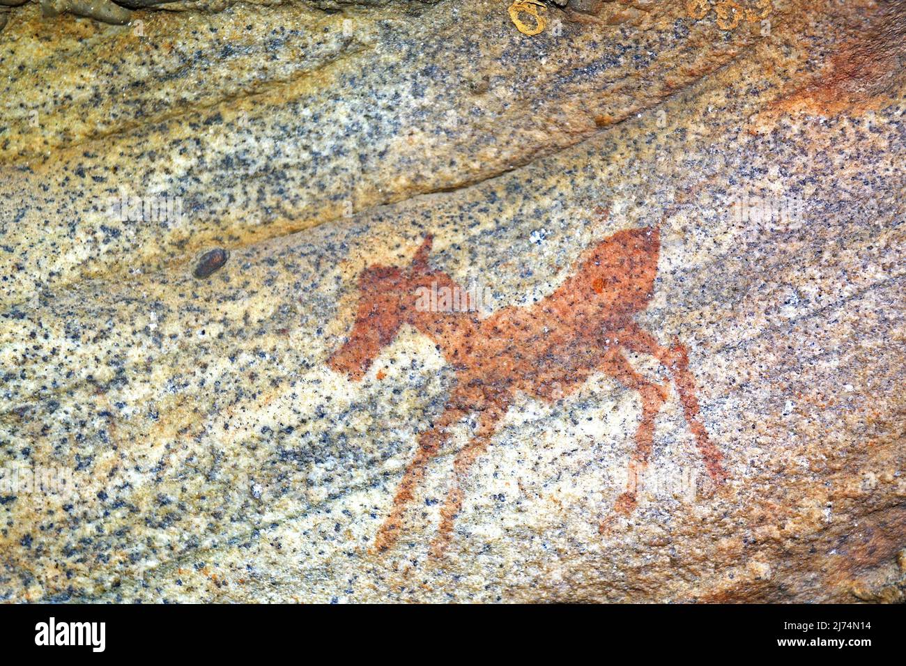 Alte Felsmalerei des San, Einheimische Südafrikas, Sevilla Rock Art Trail, Cederberge in der Nähe von Clanwilliam und Wuppertal, Südafrika, Westen Stockfoto