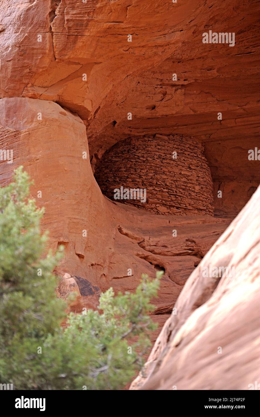 Ruinen der Indianer im Mystery Valley, ca. 1500 Jahre alt, USA, Arizona Stockfoto