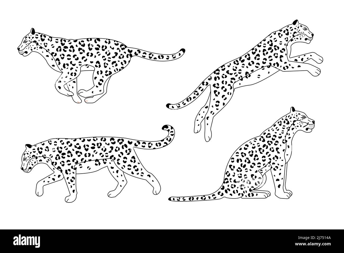Vektor-Set von flachen Umriss Leopard isoliert auf weißem Hintergrund Stock Vektor