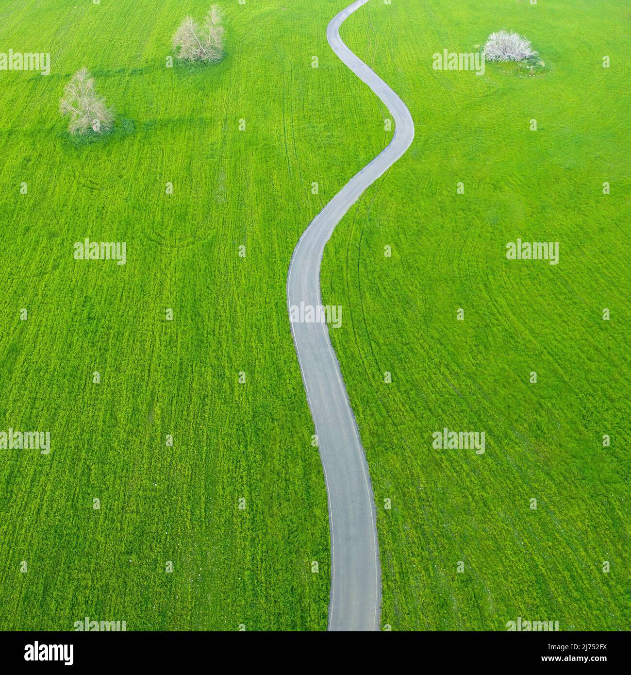 Asphalt Landstraße schlängelt sich durch Felder von grünem Gras und Bäumen, Luft minimalistischen Landschaft Stockfoto