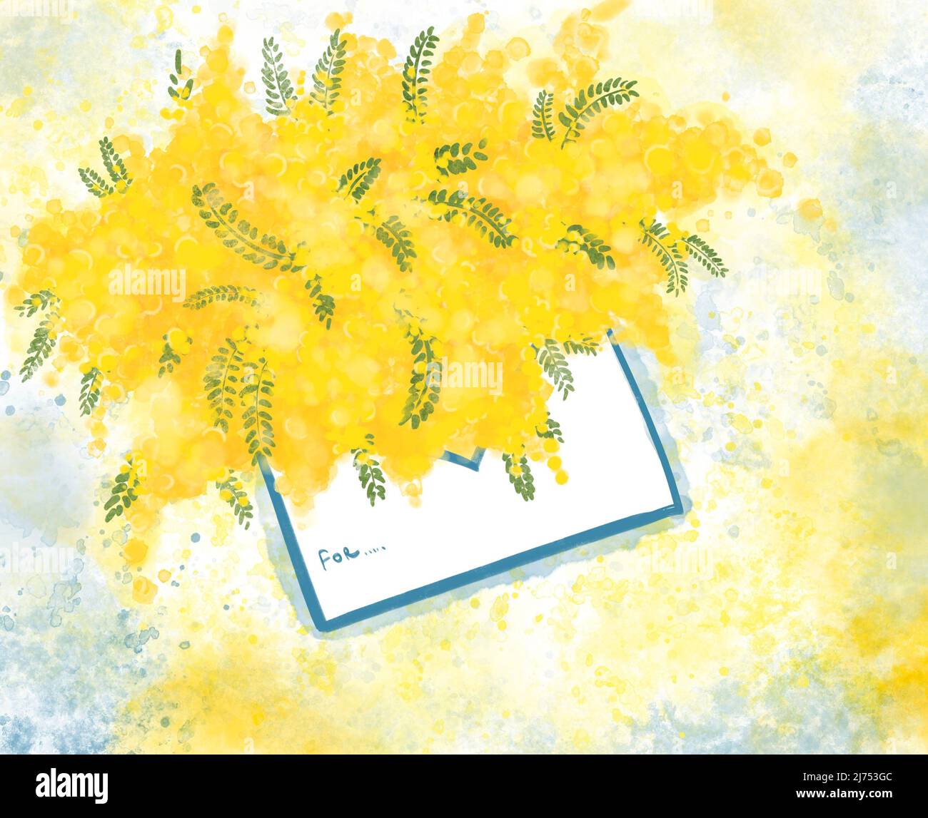 Mimosa blüht am Muttertag am 8. März in Italien. Postkarte mit Mimosa-Aquarellen. Symbol der Frauen in Europa. Speicherplatz kopieren Stockfoto