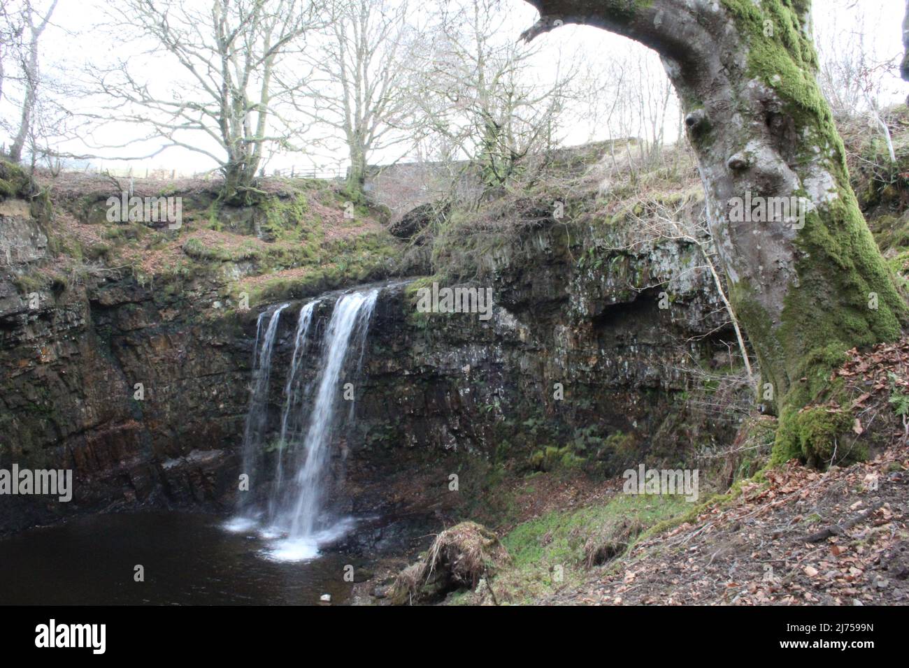 Dalcairney Falls - Schottland Stockfoto