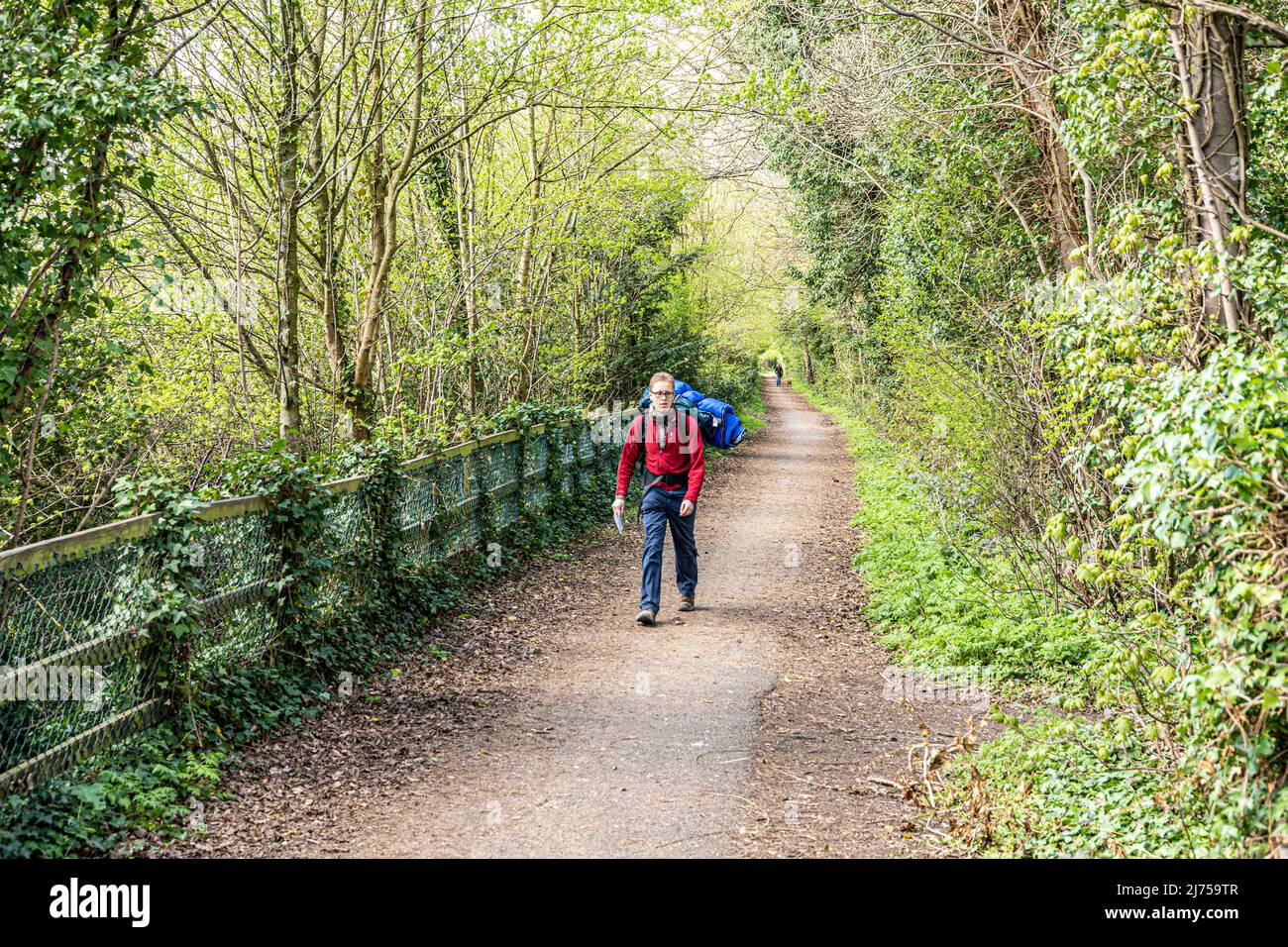 Ein Wanderer auf dem Cotswold Way National Trail auf der alten Stonehouse nach Nailsworth Midland Railway Linie in Ebley, Gloucestershire, England Stockfoto