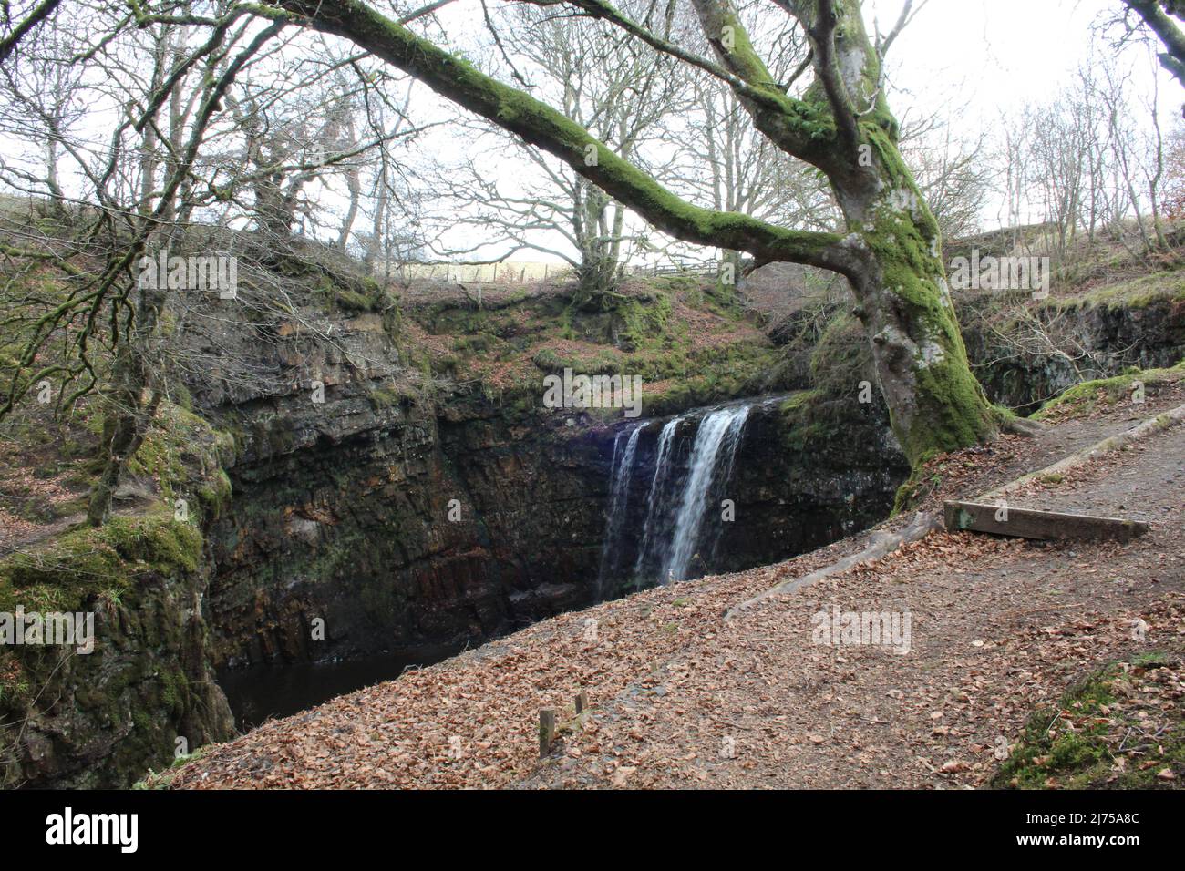 Dalcairney Falls - Schottland Stockfoto