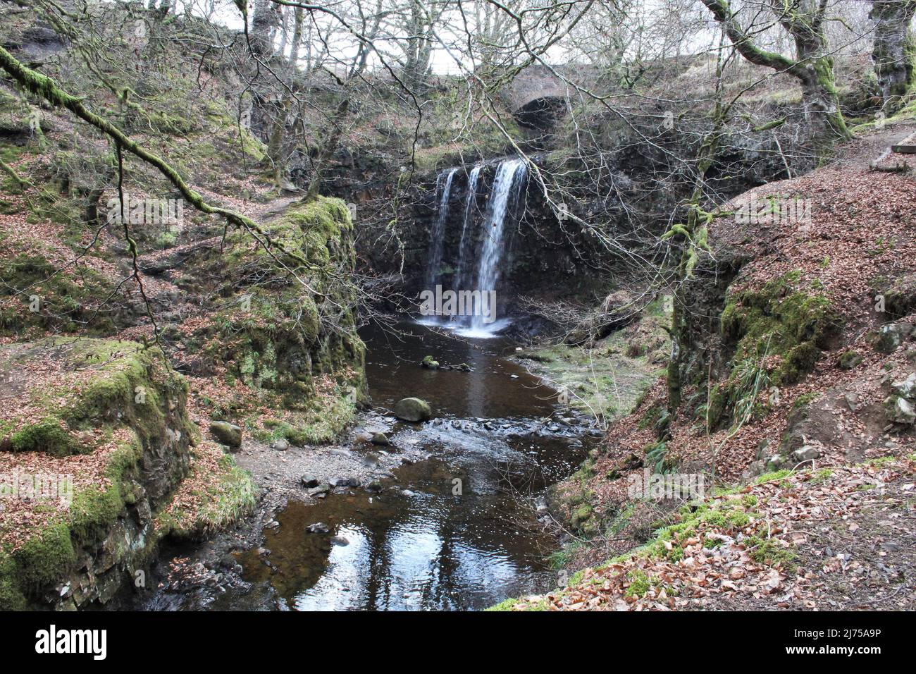 Dalcairney Falls - Schottland Stockfoto