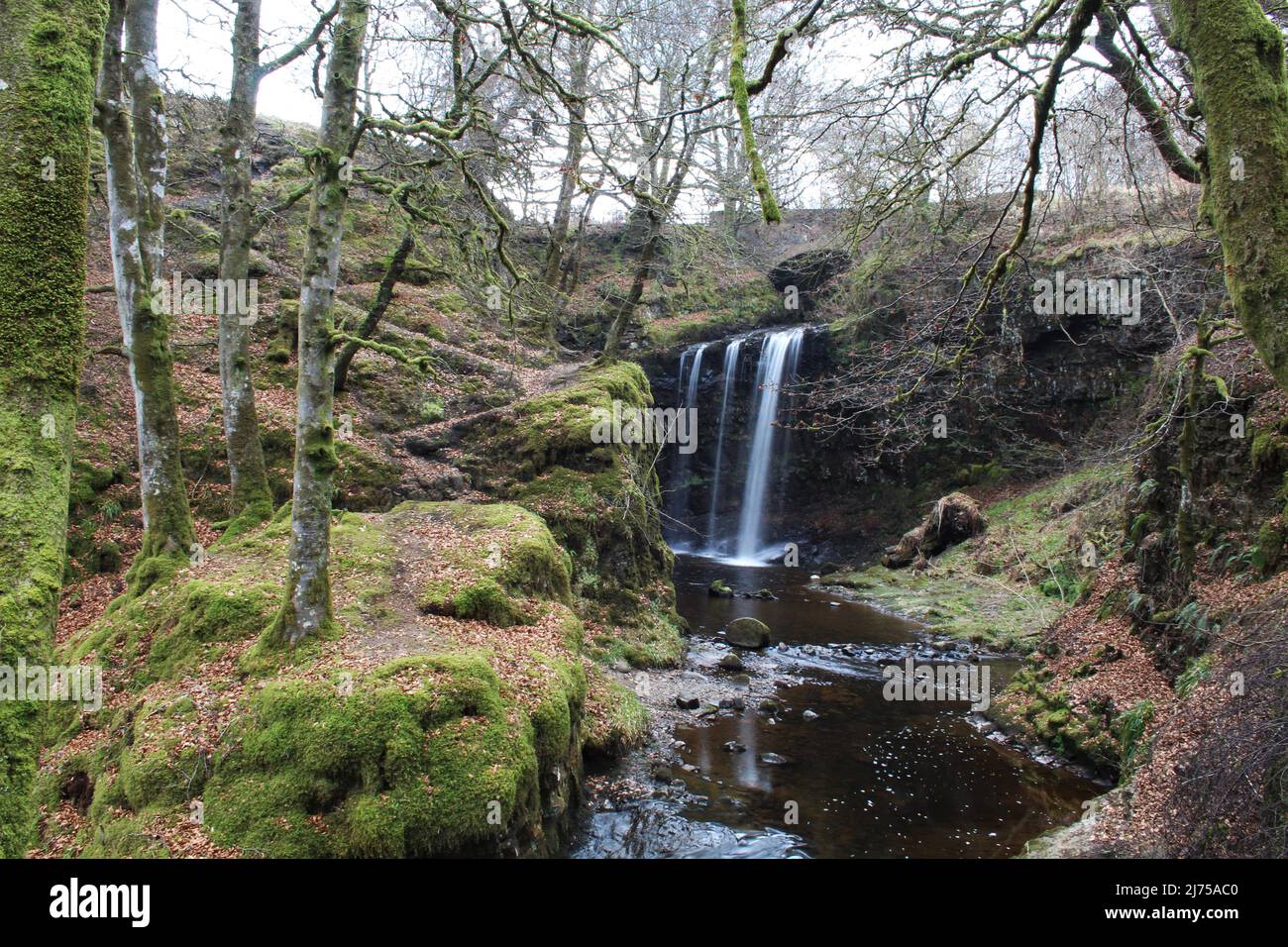 Dalcairney Falls - Schottland Stockfoto