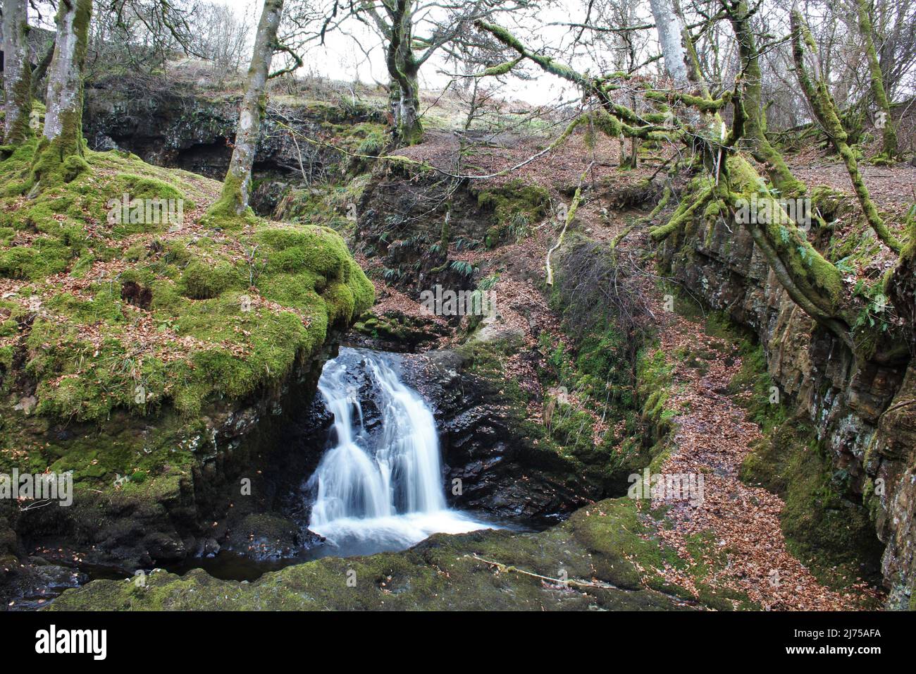 Dalcairney Falls - Schottland Stockfoto