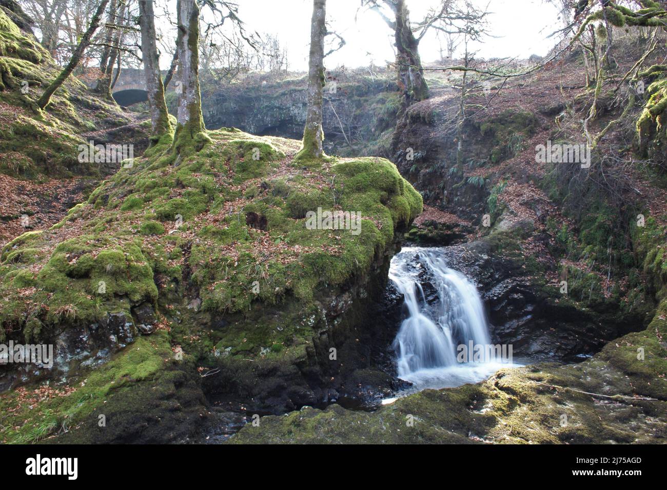 Dalcairney Falls - Schottland Stockfoto