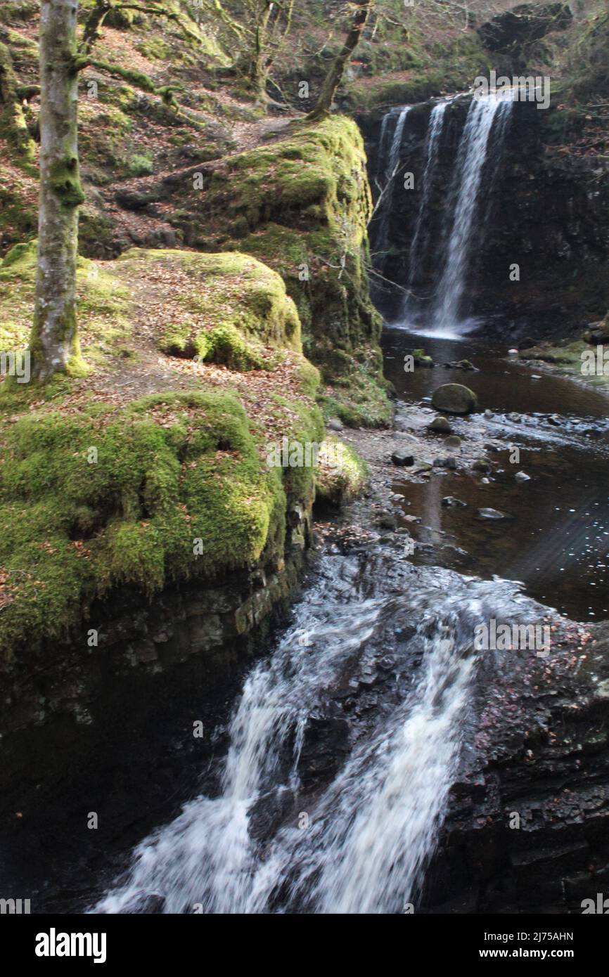 Dalcairney Falls - Schottland Stockfoto