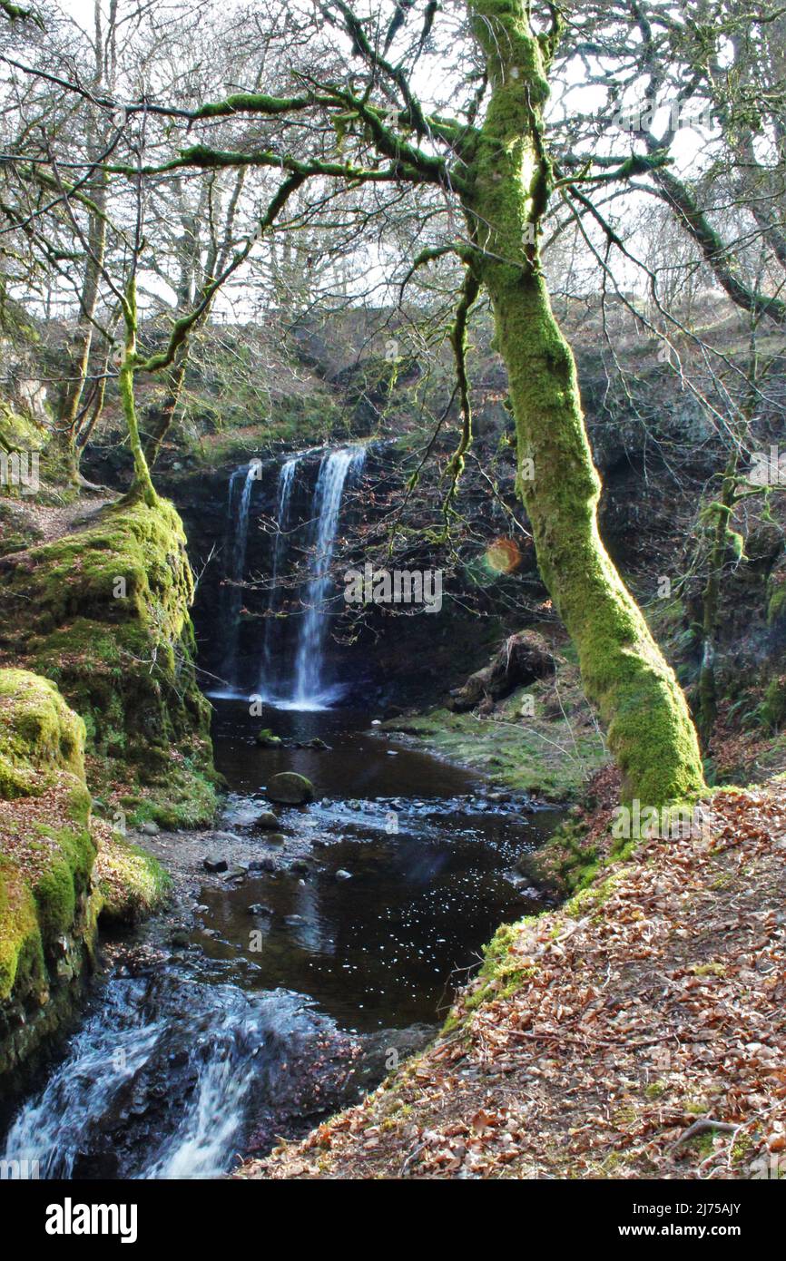 Dalcairney Falls - Schottland Stockfoto