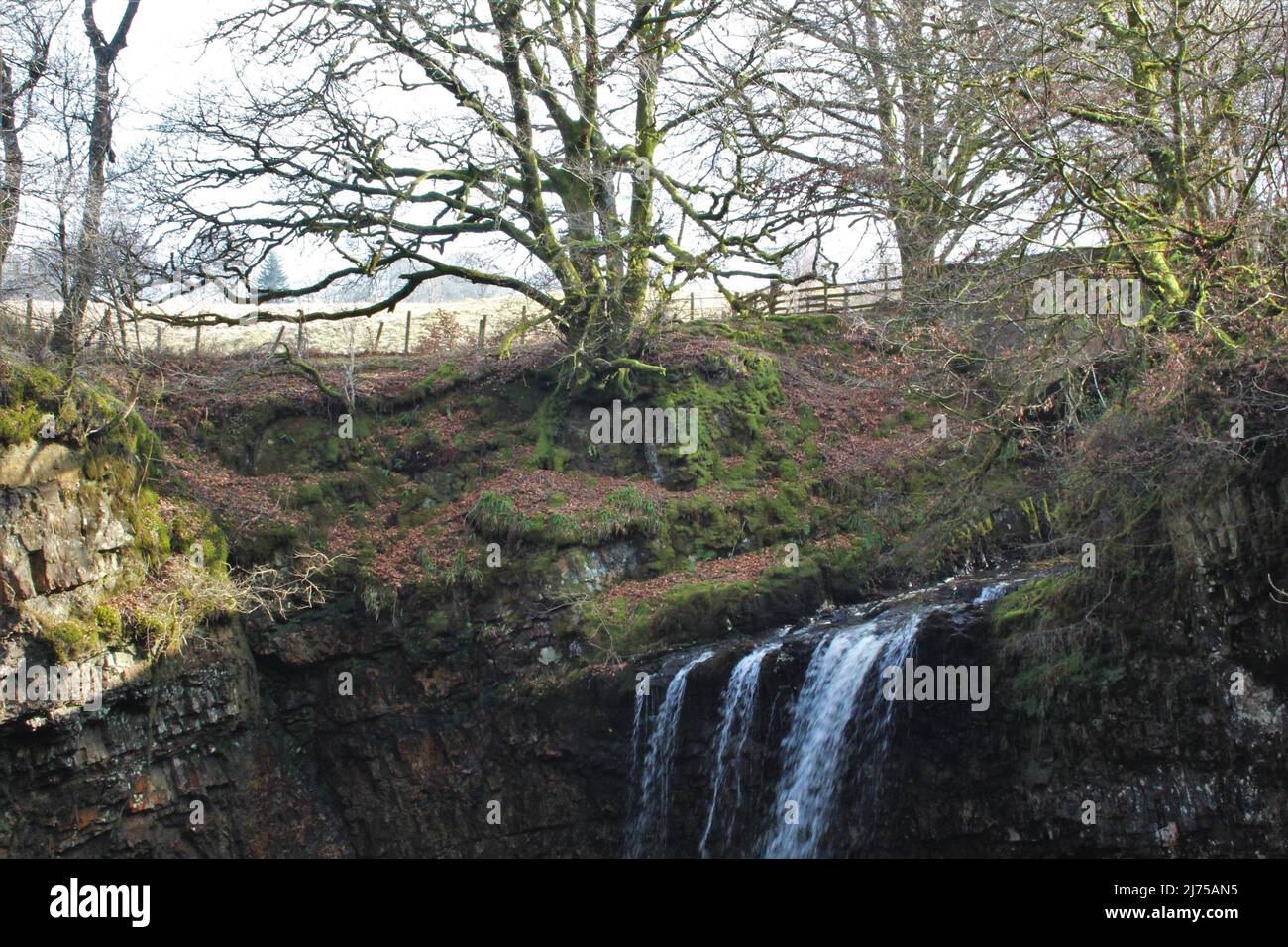 Dalcairney Falls - Schottland Stockfoto