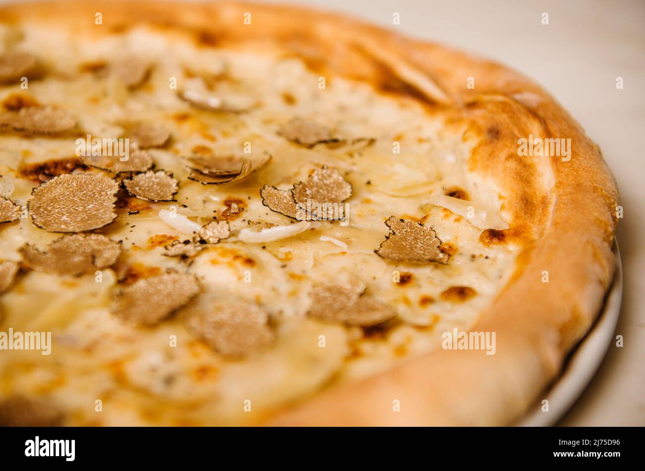 Pizza mit schwarzen Trüffeln und Béchamelsauce und italienischem Käse Stockfoto