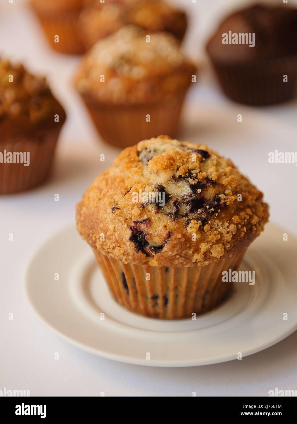 Blaubeer-Muffin mit verschiedenen Muffins im Hintergrund Stockfoto