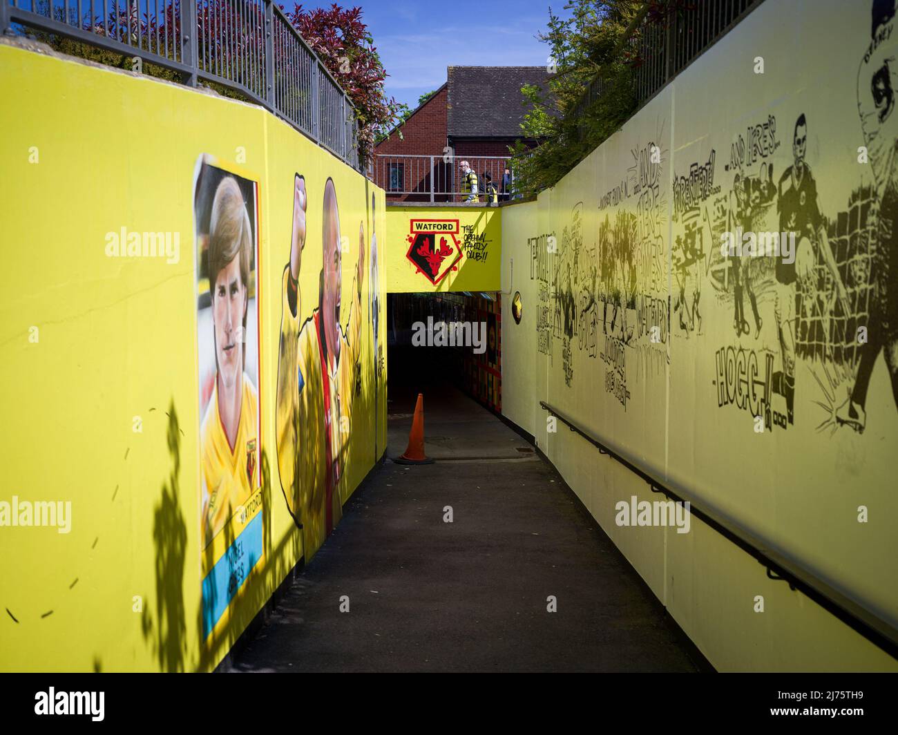 Wandgemälde des Watford FC, das die U-Bahn zum Vicarage Road Stadium schmückt und die Geschichte, die Leidenschaft und den Stolz der Horne-Fans widerspiegelt Stockfoto