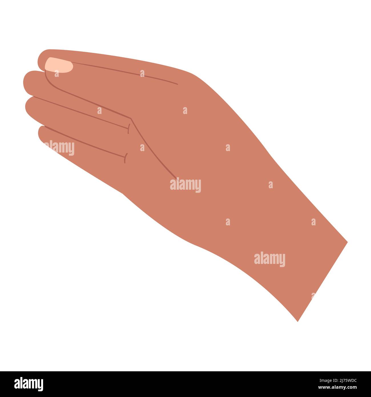 Eine menschliche Hand. Geste. Hält, gibt, zeigt etwas. Auf weißem Hintergrund isolierte Darstellung von Farbvektoren. Stock Vektor