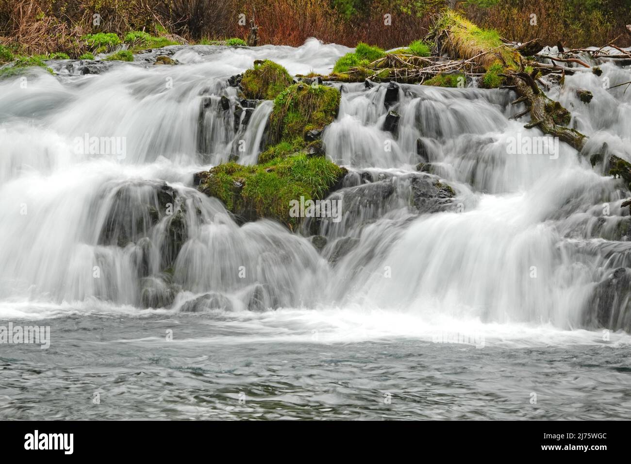 Blick auf die Fall River Falls, am Fall River in den zentralen Oregon Cascade Mountains in der Nähe von Sunriver. Stockfoto