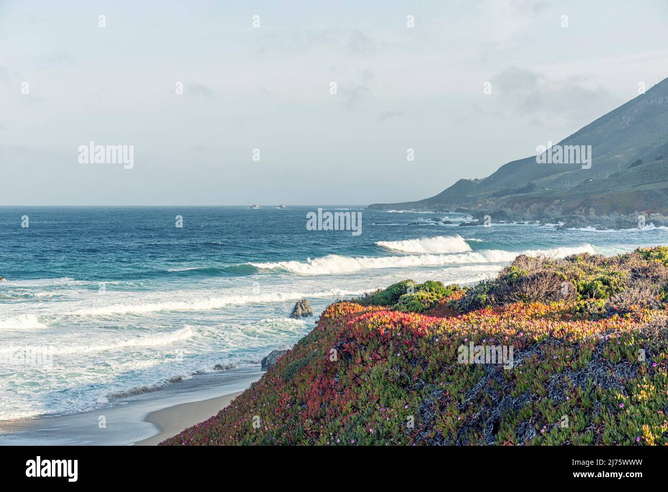 Ein Aprilmorgen im Garrapata State Park, Monterey Coast, Kalifornien, USA. Stockfoto