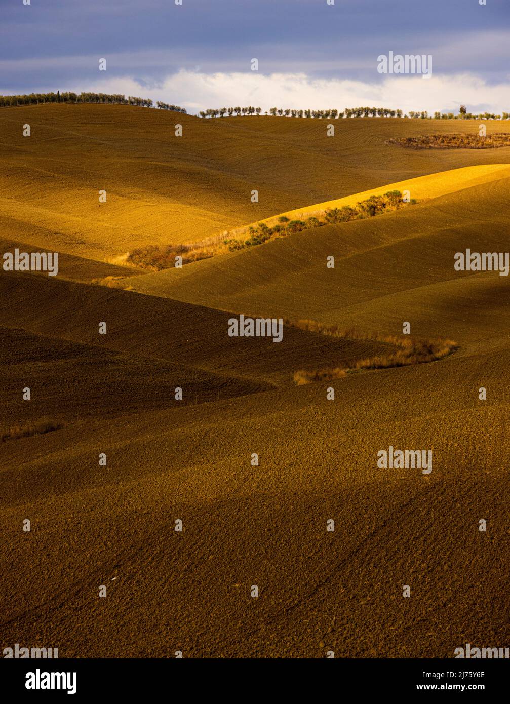 Wunderschöne toskanische Felder im Herbst, wunderschöne Toskana Italien, Stockfoto