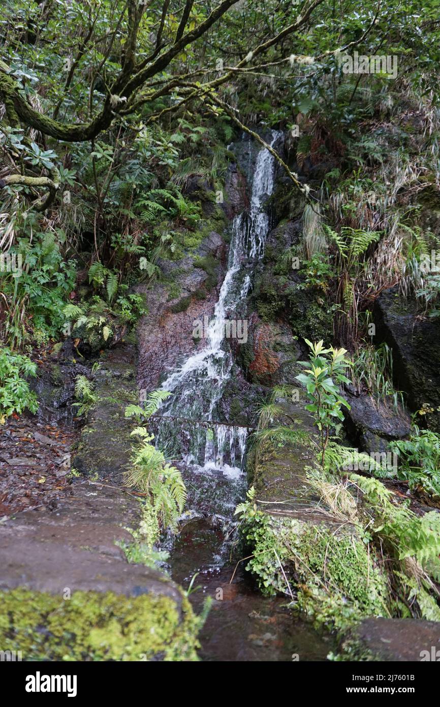 25 Fontes Falls, Madeira Portugal, Europa. Foto von Matheisl Stockfoto