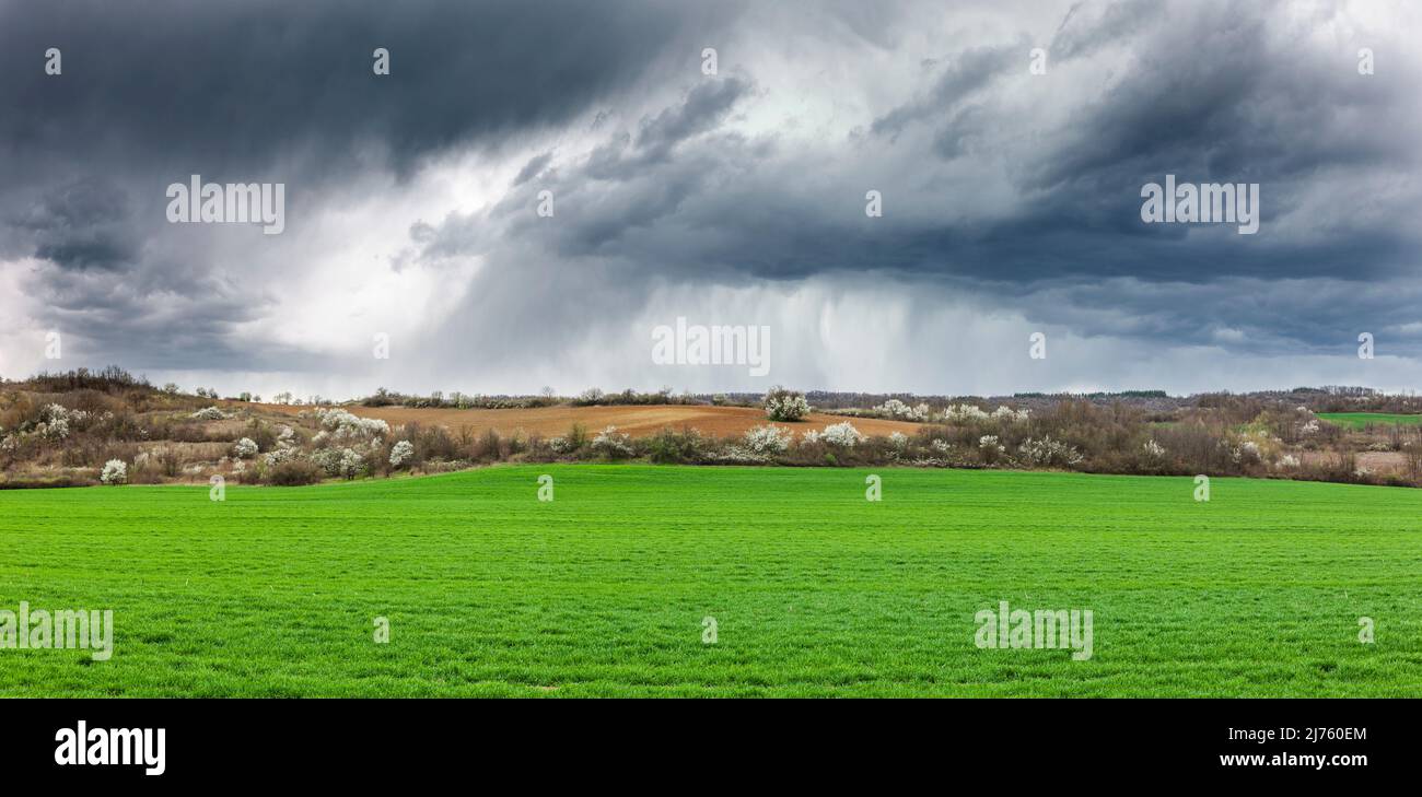 Regen Wolken über einem grünen Feld Stockfoto