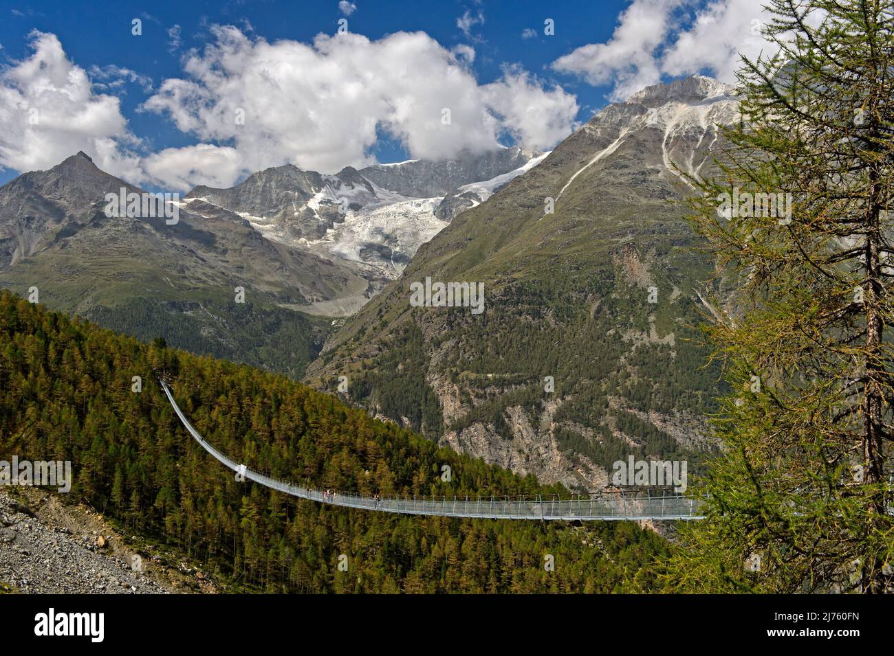 Die Charles Kuonen Hängebrücke mit einer Spannweite von fast 500 Metern in den Walliser Alpen, Randa, Wallis, Schweiz. Stockfoto