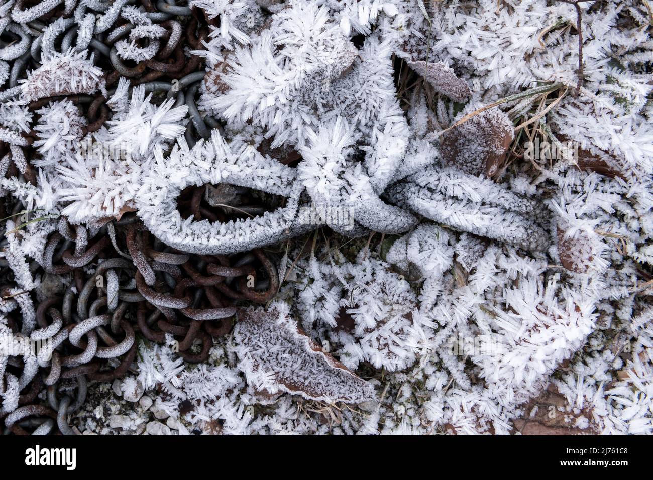 Am Ufer eines Sees zwischen einer Kette liegt ein Seil, das mit acht Knoten und Reif bedeckt ist Stockfoto