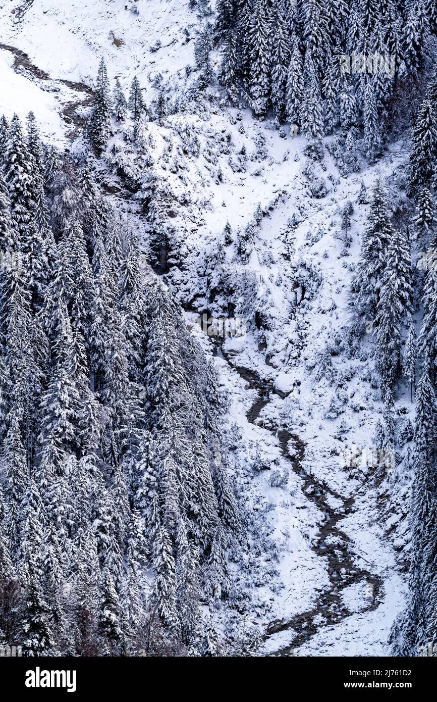 Seinsbach im Winter mit Schnee und schneebedeckten Bäumen im Karwendel, in den deutschen Alpen Stockfoto