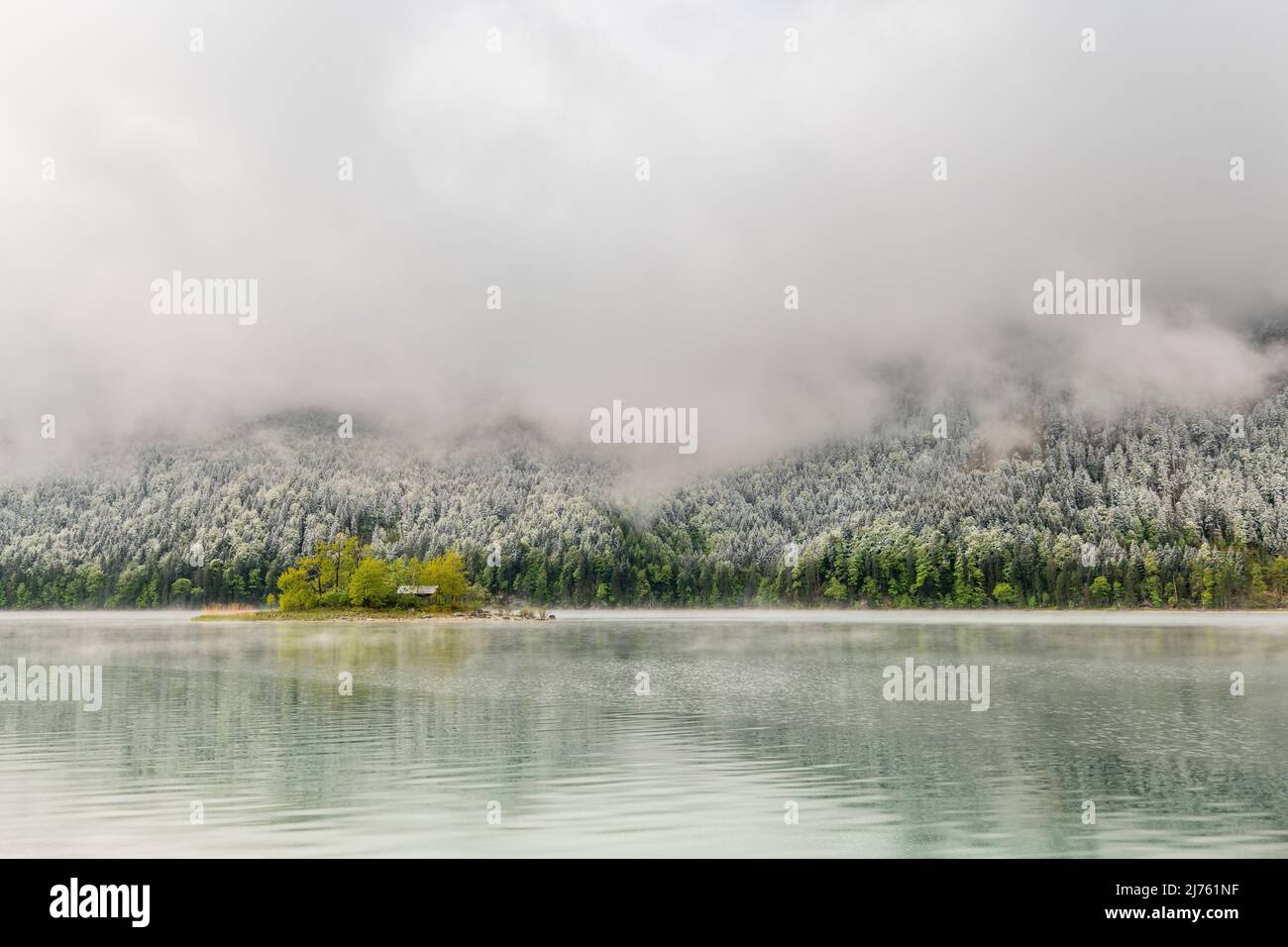 Kleine grüne Insel im Eibsee, unterhalb der Zugspitze in den bayerischen Alpen des Wettersteingebirges während der Eisheiligen im Frühjahr. Im Hintergrund Schnee auf dem frischen Grün des Waldes und dichten Regenwolken. Stockfoto